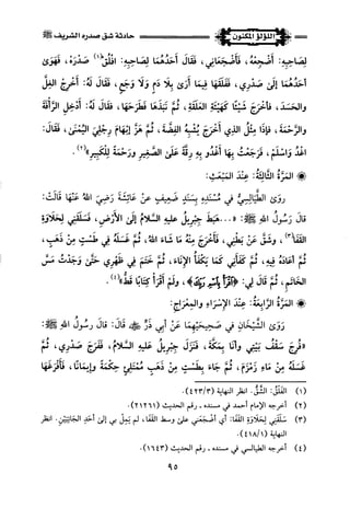 اللؤلؤ المكنون في سيرة النبي المأمون