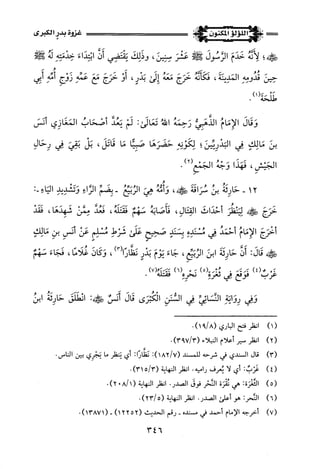 اللؤلؤ المكنون في سيرة النبي المأمون