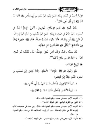 اللؤلؤ المكنون في سيرة النبي المأمون