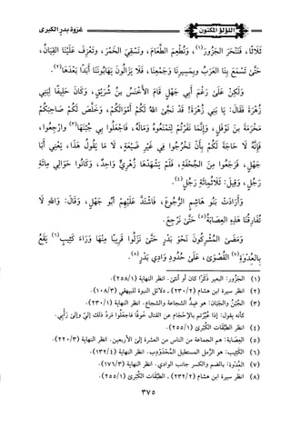 اللؤلؤ المكنون في سيرة النبي المأمون