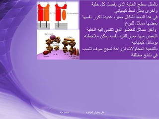 ‫طه‬ ‫محمد‬ ‫العباقره‬ ‫بعقول‬ ‫فكر‬
‫خل‬ ‫كل‬ ‫يفصل‬ ‫الذي‬ ‫الخلية‬ ‫سطح‬ ‫بالمثل‬‫ية‬
‫كيميائي‬ ‫نمط‬ ‫يمثل‬ ‫وأخرى‬
‫نف‬ ‫تكرر‬ ‫عديدة‬ ‫مميزه‬ ‫أشكال‬ ‫النمط‬ ‫هذا‬ ‫في‬‫سها‬
‫للنوع‬ ‫مماثل‬ ‫بعضها‬
‫الخ‬ ‫إليه‬ ‫تنتمي‬ ‫الذي‬ ‫للعضو‬ ‫مماثل‬ ‫وأخر‬‫لية‬
‫مالح‬ ‫يمكن‬ ‫نفسه‬ ‫للفرد‬ ‫مميز‬ ‫منها‬ ‫البعض‬‫ظته‬
‫كيميائيه‬ ‫بوسائل‬
‫سوف‬ ‫نسيج‬ ‫لزراعة‬ ‫المحاوالت‬ ‫بالتبعية‬‫تتسب‬
‫مختلفة‬ ‫نتائج‬ ‫في‬
 