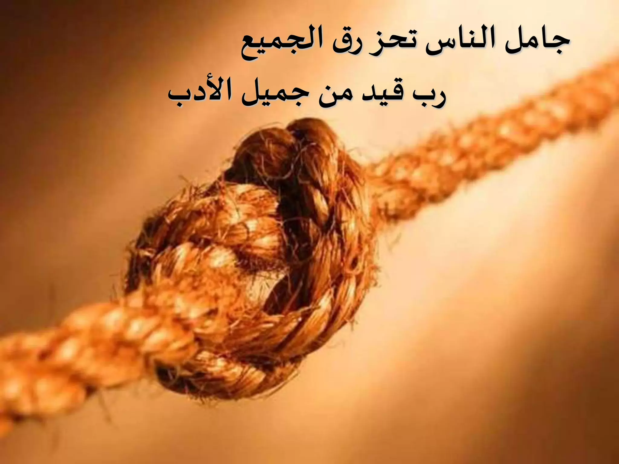 ‫الجميع‬ ‫ق‬‫ر‬ ‫تحز‬ ‫الناس‬ ‫جامل‬
‫األدب‬ ‫جميل‬ ‫من‬ ‫قيد‬ ‫ب‬‫ر‬
 