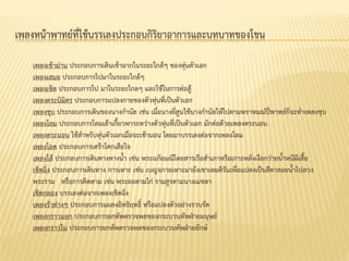 เพลงหน้ำพำทย์ที่ใช้บรรเลงประกอบกิริยำอำกำรและบทบำทของโขน
เพลงเข้ำม่ำน ประกอบกำรเดินเข้ำฉำกในระยะใกล้ๆ ของหุ่นตัวเอก
เพลงเสมอ ประกอบกำรไปมำในระยะใกล้ๆ
เพลงเชิด ประกอบกำรไป มำในระยะไกลๆ และใช้ในกำรต่อสู้
เพลงตระนิมิตร ประกอบกำรแปลงกำยของตัวหุ่นที่เป็นตัวเอก
เพลงชุบ ประกอบกำรเดินของนำงกำนัล เช่น เมื่อนำงยี่สูนใช้นำงกำนัลให้ไปตำมพรำหมณ์ปี่พำทย์ก็จะทำเพลงชุบ
เพลงโลม ประกอบกำรโลมเล้ำเกี้ยวพำระหว่ำงตัวหุ่นที่เป็นตัวเอก มักต่อด้วยเพลงตระนอน
เพลงตระนอน ใช้สำหรับหุ่นตัวเอกเมื่อจะเข้ำนอน โดยมำบรรเลงต่อจำกเพลงโลม
เพลงโอด ประกอบกำรเศร้ำโศกเสียใจ
เพลงโล้ ประกอบกำรเดินทำงทำงน้ำ เช่น พระอภัยมณีโดยสำรเรือสำเภำหรือเกำะหลังเงือกว่ำยน้ำหนีผีเสื้อ
เชิดฉิ่ง ประกอบกำรเดินทำง กำรเหำะ เช่น เบญจกำยเหำะมำยังเขำเหมติรันเพื่อแปลงเป็นสีดำลอยน้ำไปลวง
พระรำม หรือกำรติดตำม เช่น พระลอตำมไก่ รำมสูรตำมนำงเมขลำ
เชิดกลอง บรรเลงต่อจำกเพลงเชิดฉิ่ง
เพลงรัวต่ำงๆ ประกอบกำรแผลงอิทธิฤทธิ์ หรือแปลงตัวอย่ำงรวบรัด
เพลงกรำวนอก ประกอบกำรยกทัพตรวจพลของกระบวนทัพฝ่ำยมนุษย์
เพลงกรำวใน ประกอบกำรยกทัพตรวจพลของกระบวนทัพฝ่ำยยักษ์
 