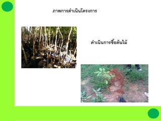 ภาพการึϸ๶ȨȨครงการ
ดาเนินการซื้อต้นไม้
 