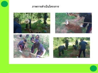 ภาพการึϸ๶ȨȨครงการ
 