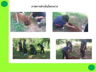 ภาพการึϸ๶ȨȨครงการ
 