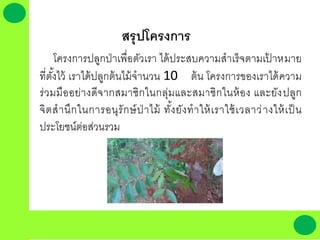 สรุปโครงการ
โครงการปลูกป่า๶พื่อตัวเรา ได้ประสบความสาเร็จตามเป้ าหมาย
ที่ตั้งไว้ เราได้ปลูกต้นไม้จานวน 10 ต้น โครงการของเราได้ความ
ร่วมมืออย่างดีจากสมาชิกในกลุ่มและสมาชิกในห้อง และยังปลูก
จิตสานึกในการอนุรักษ์ป่ าไม้ ทั้งยังทาให้เราใช้เวลาว่างให้เป็น
ประโยชน์ต่อส่วนรวม
 