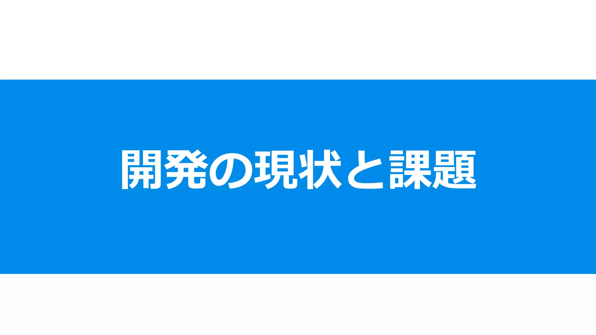 開発の現状と課題
 
