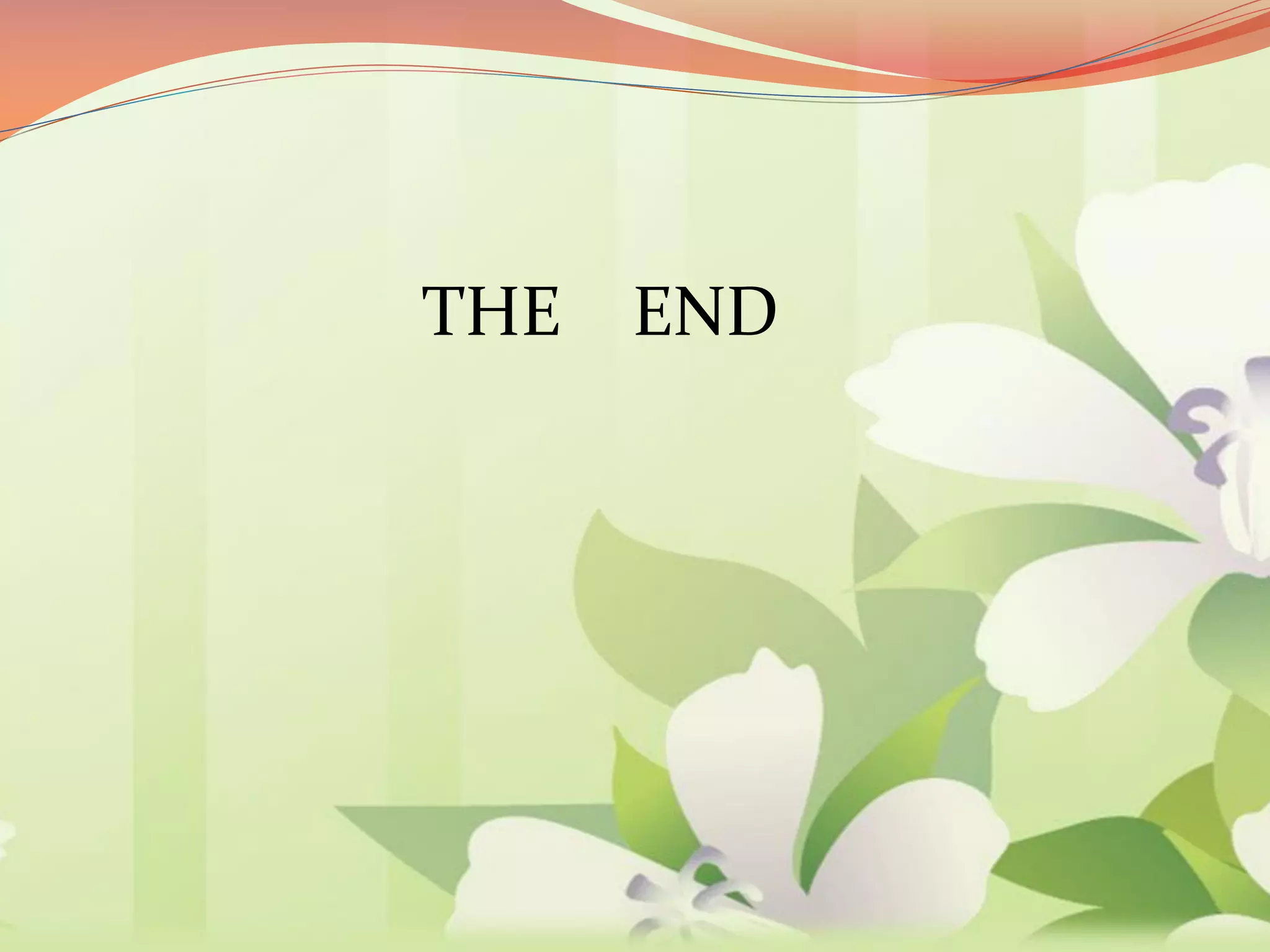 THE END
 