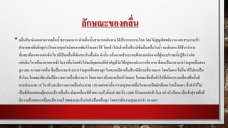 ลักษณะของคลื่น
• คลื่นสึนามิแตกต่างจากคลื่นน้าธรรมดามาก ตัวคลื่นนั้นสามารถเดินทางได้เป็นระยะทางไกล โดยไม่สูญเสียพลังงาน และสามารถเข้า
ทาลายชายฝั่งที่อยู่ห่างไกลจากจุดกาเนิดหลายพันกิโลเมตรได้ โดยทั่วไปแล้วคลื่นสึนามิซึ่งเป็นคลื่นในน้า จะเดินทางได้ช้ากว่าการ
สั่นสะเทือนของแผ่นดินไหวที่เป็นคลื่นที่เดินทางในพื้นดิน ดังนั้น คลื่นอาจเข้ากระทบฝั่งภายหลังจากที่ผู้คนบริเวณนั้นรู้สึกว่าเกิด
แผ่นดินไหวเป็นเวลาหลายชั่วโมง คลื่นโดยทั่วไปจะมีคุณสมบัติสาคัญที่วัดได้อยู่สองประการคือ คาบ ซึ่งจะเป็นเวลาระหว่างลูกคลื่นสอง
ลูก และ ความยาวคลื่น ซึ่งเป็นระยะห่างระหว่างลูกคลื่นสองลูก ในทะเลเปิด คลื่นสึนามิมีคาบที่นานมาก โดยเริ่มจากไม่กี่นาทีไปจนเป็น
ชั่วโมง ในขณะเดียวกันก็มีความยาวคลื่นที่ยาวมาก โดยอาจยาวถึงหลายร้อยกิโลเมตร ในขณะที่คลื่นทั่วไปที่เกิดจาก ลมที่ชายฝั่งนั้นมี
คาบประมาณ 10 วินาที และมีความยาวคลื่นประมาณ 150 เมตรเท่านั้น ความสูงของคลื่นในทะเลเปิดมักน้อยกว่าหนึ่งเมตร ซึ่งทาให้ไม่
เป็นที่สังเกตของผู้คนบนเรือ คลื่นสึนามิจะเคลื่อนที่ด้วยความเร็วตั้งแต่ 500 ถึง 1,000 กิโลเมตรต่อชั่วโมง อย่างไรก็ตาม เมื่อเข้าสู่ชายฝั่งที่
มีความลึกลดลง คลื่นจะมีความเร็วลดลงและเริ่มก่อตัวเป็นคลื่นสูง โดยอาจมีความสูงมากกว่า 30 เมตร
 