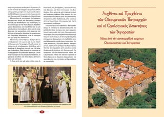 20 21
στήν ἀντιμετώπιση τῶν θε­μά­των τῆς πί­στε­ως∙ ὅ­
τιεἶ­ναι δυ­να­τόννάὑ­πάρ­χουνἁ­γι­ο­ρεί­τι­κεςΜο­νές
καί ἁ­γι­ο­ρεῖ­τες μο­να­χοί πού νά μήν κα­τα­δι­κά­ζουν
τίς ἐ­ξό­φθαλ­μες οἰ­κου­με­νι­στι­κές πα­ρε­κτρο­πές
τοῦ Οἰ­κου­με­νι­κοῦ Πα­τριά­ρχου στά Ἱ­ε­ρο­σό­λυ­μα.
Ἀ­δυ­να­τοῦ­με νά πι­στέ­ψου­με ὅ­τι ὑ­πάρ­χουν
ἁ­γι­ο­ρεί­τι­κες Μο­νές καί ἁ­γι­ο­ρεῖ­τες μο­να­χοί
πού νά μήν κα­τα­δι­κά­ζουν τήν συ­νάν­τη­ση, τίς
συμ­προ­σευ­χές καί τήν Κοι­νή Δή­λω­ση Βαρ­θο­λο­
μαί­ου-Φραγ­κί­σκου καί τό­σα ἄλ­λα∙ πού νά μήν
κα­τα­δι­κά­ζουν τήν ἀ­να­βί­ω­ση, ἀλ­λά καί τήν ὑ­πέρ­
βα­ση καί τήν προ­σαύ­ξη­ση «τῆς δε­κα­ε­τί­ας τοῦ
‘60, ὅ­ταν οἱ Ἁ­γι­ο­ρεῖ­τες δι­έ­κο­ψαν τὸ «μνη­μό­συ­νο»
τοῦ Πα­τριά­ρχη Ἀ­θη­να­γό­ρα, με­τὰ τὰ «ἀ­νοίγ­μα­
τά» του πρὸς τοὺς πα­πι­κούς»!
Ἀ­δυ­να­τοῦ­με νά πι­στέ­ψου­με ὅ­τι ἔ­γι­νε ὄν­τως
«ἐ­πε­ξερ­γα­σί­α» τοῦ κει­μέ­νου γιά νά μήν «θι­γεῖ»
ὁ Οἰ­κου­με­νι­κός Πα­τριά­ρχης. Εἶ­ναι δυ­να­τόν νά
ὑ­πό­κει­ται σέ «ἐ­πε­ξερ­γα­σί­α» ἡ ἀ­λή­θεια καί ἡ
ἀ­κρί­βεια τῆς ἀ­μω­μή­του πί­στε­ώς μας, τῆς Ἁ­γί­ας
μας Ὀρ­θο­δο­ξί­ας; Εἶ­ναι δυ­να­τόν νά ὑ­πό­κει­ται σέ
«ἐ­πε­ξερ­γα­σί­α» τό ὁ­μο­λο­για­κό φρό­νη­μα, ἡ συ­νέ­
πεια στίς ἀρ­χές καί τήν μα­κραί­ω­νη πα­ρά­δο­ση, τό
χρέ­ος καί ἡ εὐ­θύ­νη τοῦ Ἁ­γί­ου Ὄ­ρους ἀ­πέ­ναν­τι
στόν λα­ό τοῦ Θε­οῦ;
Τί εἶ­ναι αὐ­τό πού μᾶς κά­νει πλέ­ον τό­σο δι­
στα­κτι­κούς στίς ἀν­τι­δρά­σεις, τό­σο φει­δω­λούς
στίς δη­λώ­σεις καί τό­σο ὑ­πο­το­νι­κούς στίς δι­εκ­
δι­κή­σεις ὅ­ταν πρό­κει­ται γιά ζη­τή­μα­τα πί­στε­ως
καί ὁ­μο­λο­γί­ας κα­θό­σον εἶ­ναι γνω­στό ὅ­τι δέν
στε­ρού­μα­στε στό Ἅ­γιον Ὄ­ρος οὔ­τε θε­ο­λο­γι­κῆς
κα­ταρ­τί­σε­ως, οὔ­τε ὀ­ξυ­δέρ­κειας, οὔ­τε γνώ­σε­ων,
οὔ­τε καί ἱ­κα­νο­τή­των στόν χει­ρι­σμό καί τήν δι­
εκ­πε­ραί­ω­ση ὑ­πο­θέ­σε­ων.
Στήν συ­νέ­χεια τοῦ κε­φα­λαί­ου θά πα­ρα­θέ­
σου­με σέ ἑ­νό­τη­τες τίς ἀ­πο­κλί­νου­σες ἀ­πό τήν
ὀρ­θό­δο­ξη θέ­ση ἀ­πό­ψεις,πού κα­τά και­ρούς
ἔ­χουν δι­α­τυ­πω­θεῖ ἀ­πό τούς Οἰ­κου­με­νι­κούς
Πα­τρι­άρ­χες ἤ συμπεριλαμβάνονται σέ ἐπίσημα
Κείμενα τῶν διαλόγων, σέ ἀν­τι­πα­ρα­βο­λή μέ τίς
ἐ­πί­ση­μες καί βα­σι­σμέ­νες στήν ὀρ­θό­δο­ξη πα­τε­
ρι­κή δι­δα­σκα­λί­α το­πο­θε­τή­σεις-ἀ­παν­τή­σεις τῆς
Ἱ­ε­ρᾶς Κοι­νό­τη­τος, τῶν Ἱ­ε­ρῶν Μο­νῶν, Κα­θη­γου­
μέ­νων, γε­ρόν­των καί μο­να­χῶν τοῦ Ἁ­γί­ου Ὄ­ρους.
Ἀ­πό τήν ἀν­τι­πα­ρα­βο­λή αὐ­τή κα­τα­δει­κνύ­ε­ται
ὁ­λο­φά­νε­ρα ἡ ἀ­πό­κλι­ση τοῦ Οἰ­κου­με­νι­κοῦ Πα­
τρι­αρ­χεί­ου καί τῶν οἰ­κου­με­νι­στῶν, κα­θώς καί
ἡ ὁ­μο­λο­για­κή στά­ση πού πάν­το­τε τη­ροῦ­σε τό
Ἅ­γιον Ὄ­ρος καί οἱ δη­μό­σι­ες πα­ρεμ­βά­σεις καί
πρω­το­βου­λί­ες του, τίς ὁ­ποῖ­ες καί ἔ­χει κα­θῆ­κον
νά ἐ­πα­να­λά­βει.
Ὁ  Οἰκουμενικός Πατριάρχης κ. Βαρθολομαῖος σέ οἰκουμενιστικό Ἑσπερινό στόν Καθεδρικό ναό
τῶν Παλαιοκαθολικῶν στήν Οὐτρέχτη, Ὁλλανδία, 24-4-2014.
Λεχθέντα καὶ Πραχθέντα
τῶν Οἰκουμενικῶν Πατριαρχῶν
καὶ οἱ Ὁμολογιακὲς Ἀπαντήσεις
τῶν Ἁγιορειτῶν
Μέσα ἀπὸ τὴν ἀντιπαραβολὴ κειμένων
Οἰκουμενιστῶν καὶ Ἁγιορειτῶν
Ἱερὰ Μονὴ Κωνσταμονίτου, Ἅγιον Ὄρος.
 