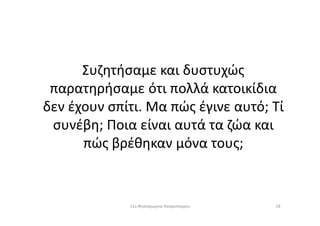 Συζητήσαμε και δυστυχώς
παρατηρήσαμε ότι πολλά κατοικίδια
δεν έχουν σπίτι. Μα πώς έγινε αυτό; Τίδεν έχουν σπίτι. Μα πώς έγινε αυτό; Τί
συνέβη; Ποια είναι αυτά τα ζώα και
πώς βρέθηκαν μόνα τους;
1811ο Νηπιαγωγείο Ασπροπύργου
 