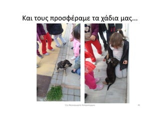 Και τους προσφέραμε τα χάδια μας...
4511ο Νηπιαγωγείο Ασπροπύργου
 