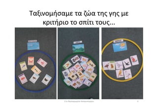 Ταξινομήσαμε τα ζώα της γης με
κριτήριο το σπίτι τους...
611ο Νηπιαγωγείο Ασπροπύργου
 