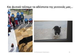 Και φυσικά ταΐσαμε τα αδέσποτα της γειτονιάς μας...
6611ο Νηπιαγωγείο Ασπροπύργου
 