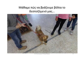 Μάθαμε πώς να βγάζουμε βόλτα το
δεσποζόμενό μας...
7011ο Νηπιαγωγείο Ασπροπύργου
 