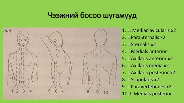 уушиг тогших үзлэг | PPT