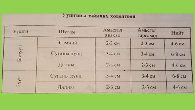 уушиг тогших үзлэг | PPT
