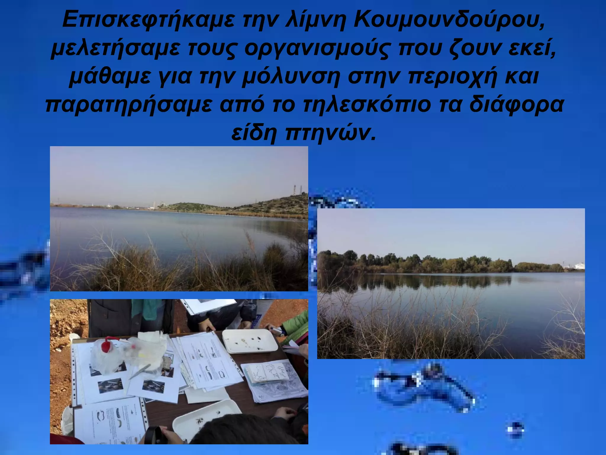 Επισκεφτήκαμε την λίμνη Κουμουνδούρου,
μελετήσαμε τους οργανισμούς που ζουν εκεί,
μάθαμε για την μόλυνση στην περιοχή και
παρατηρήσαμε από το τηλεσκόπιο τα διάφορα
είδη πτηνών.
 