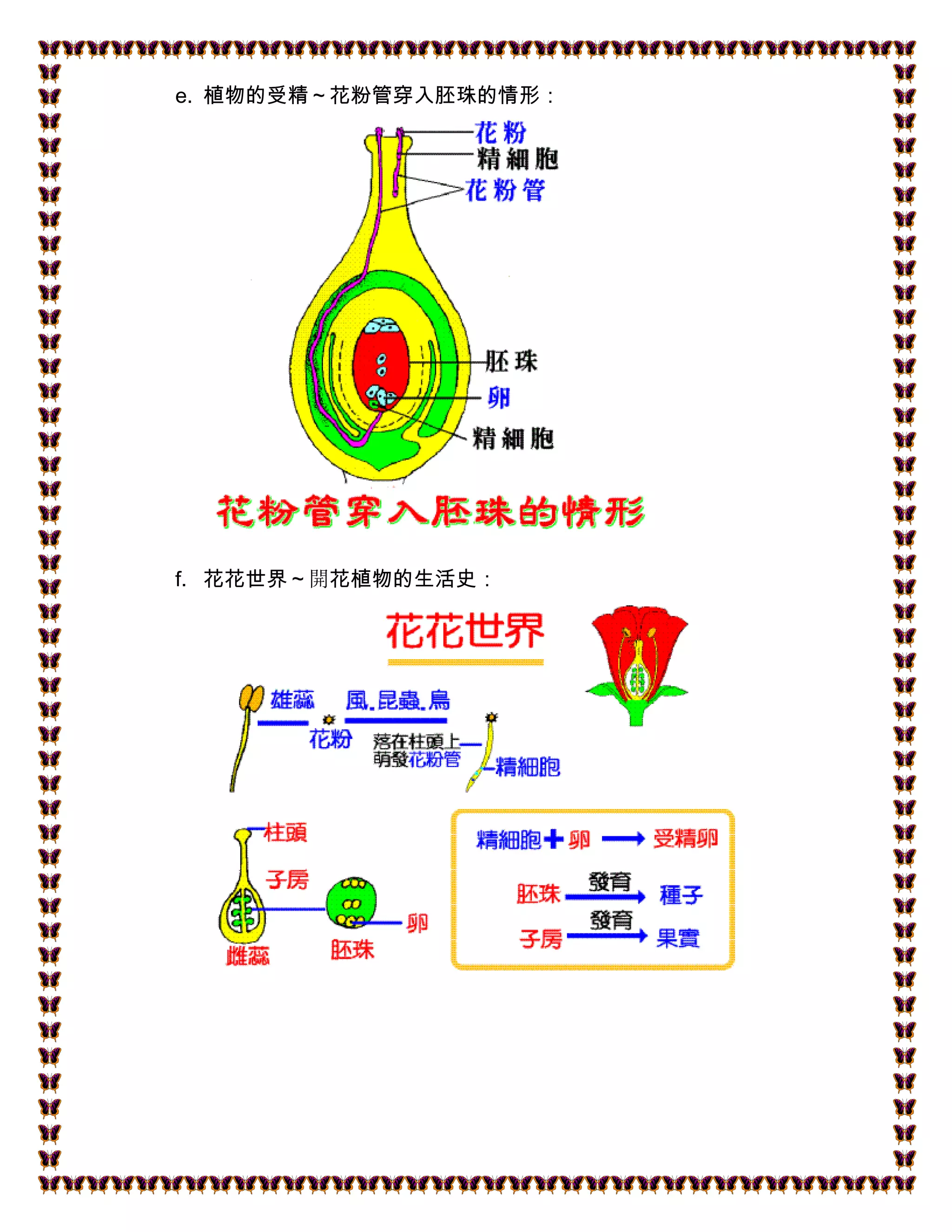 植物的繁殖| DOCX, image size:2048x2650