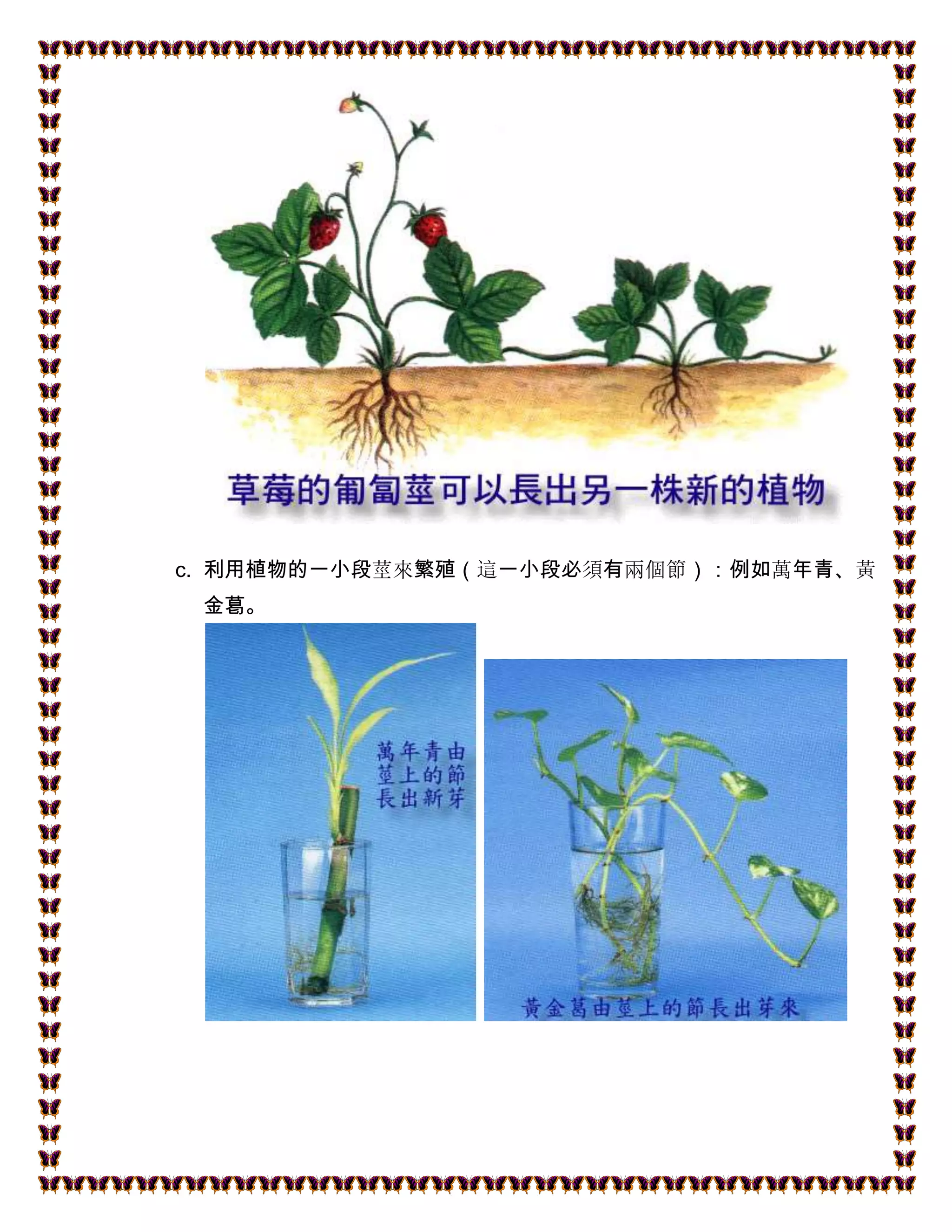 高考生物：新人教高中生物必修一知识点学霸笔记！_搜狐网, image size:2048x2650