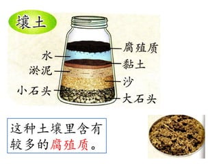 土壤的成分 Soil | PPSX