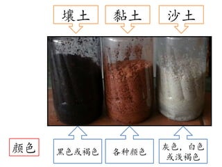 土壤的成分 Soil | PPSX