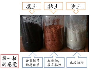 土壤的成分 Soil | PPSX