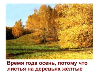 Время года осень, потому что
листья на деревьях жёлтые
 