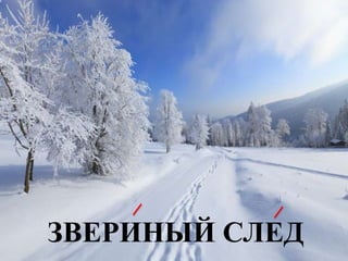 ЗВЕРИНЫЙ СЛЕД
 