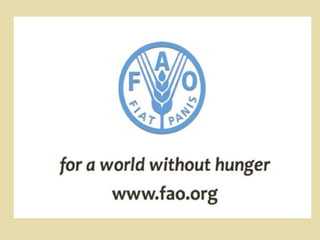 Παγκόσμια ημέρα διατροφής