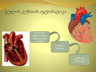 გულის კუნთის ავტომატიკა
სინუსური
კვანძი, სადაც
აღმოცენდება
აგზნება
გამტარი
სისტემა
კუმშვადი
კუნთები
 