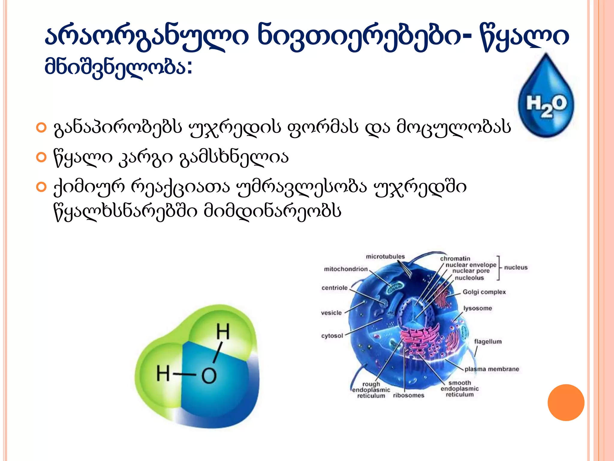 არაორგანული ნივთიერებები- წყალი
მნიშვნელობა:
 განაპირობებს უჯრედის ფორმას და მოცულობას
 წყალი კარგი გამსხნელია
 ქიმიურ რეაქციათა უმრავლესობა უჯრედში
წყალხსნარებში მიმდინარეობს
 