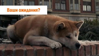 Ваши ожидания?
 