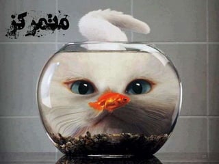 ‫کردن‬ ‫تمرکز‬‫متمرکز‬
17
 