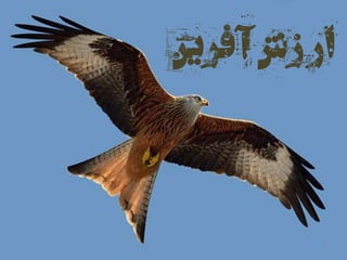 3
‫فرین‬‫آ‬ ‫زش‬‫ار‬
 