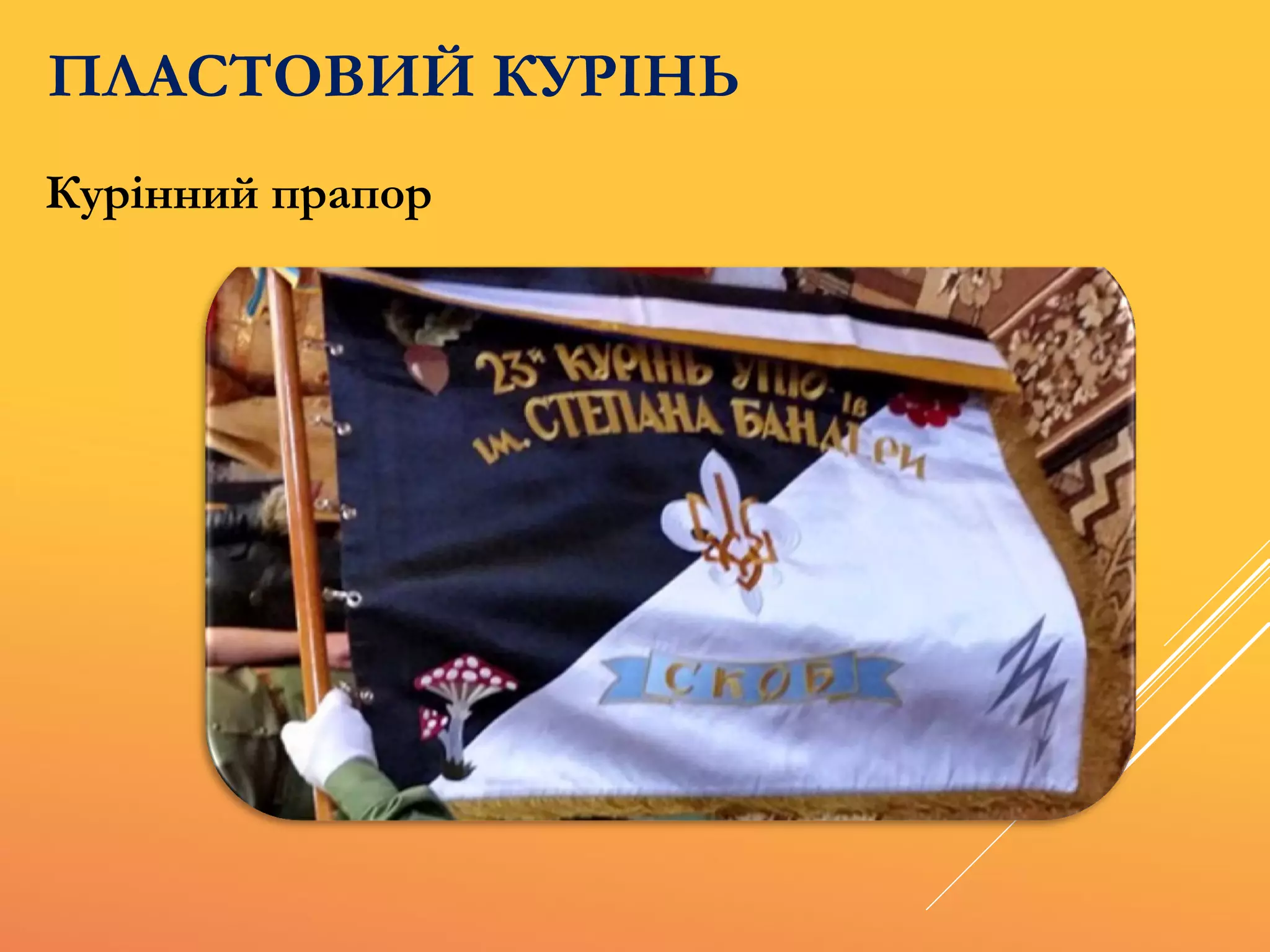 ПЛАСТОВИЙ КУРІНЬ
Курінний прапор
 