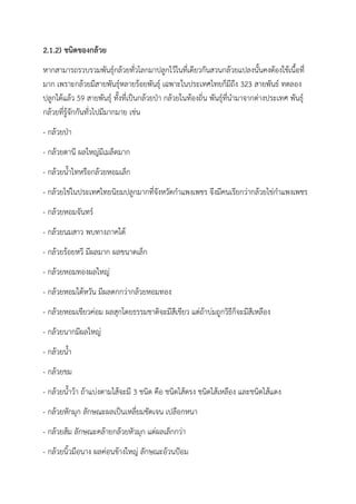2.1.2) ชนิดของกล้วย
หากสามารถรวบรวมพันธุ์กล้วยทั่วโลกมาปลูกไว้ในที่เดียวกันสวนกล้วยแปลงนั้นคงต้องใช้เนื้อที่
มาก เพราะกล้วยมีสายพันธุ์หลายร้อยพันธุ์ เฉพาะในประเทศไทยก็มีถึง 323 สายพันธ์ ทดลอง
ปลูกได้แล้ว 59 สายพันธุ์ ทั้งที่เป็นกล้วยป่า กล้วยในท้องถิ่น พันธุ์ที่นามาจากต่างประเทศ พันธุ์
กล้วยที่รู้จักกันทั่วไปมีมากมาย เช่น
- กล้วยป่า
- กล้วยตานี ผลใหญ่มีเมล็ดมาก
- กล้วยน้าไทหรือกล้วยหอมเล็ก
- กล้วยไข่ในประเทศไทยนิยมปลูกมากที่จังหวัดกาแพงเพชร จึงมีคนเรียกว่ากล้วยไข่กาแพงเพชร
- กล้วยหอมจันทร์
- กล้วยนมสาว พบทางภาคใต้
- กล้วยร้อยหวี มีผลมาก ผลขนาดเล็ก
- กล้วยหอมทองผลใหญ่
- กล้วยหอมใต้หวัน มีผลดกกว่ากล้วยหอมทอง
- กล้วยหอมเขียวค่อม ผลสุกโดยธรรมชาติจะมีสีเขียว แต่ถ้าบ่มถูกวิธีก็จะมีสีเหลือง
- กล้วยนากมีผลใหญ่
- กล้วยน้า
- กล้วยขม
- กล้วยน้าว้า ถ้าแบ่งตามไส้จะมี 3 ชนิด คือ ชนิดไส้ตรง ชนิดไส้เหลือง และชนิดไส้แดง
- กล้วยหักมุก ลักษณะผลเป็นเหลี่ยมชัดเจน เปลือกหนา
- กล้วยส้ม ลักษณะคล้ายกล้วยหัวมุก แต่ผลเล็กกว่า
- กล้วยนิ้วมือนาง ผลค่อนข้างใหญ่ ลักษณะอ้วนป้อม
 