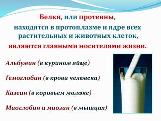 белки | PPT