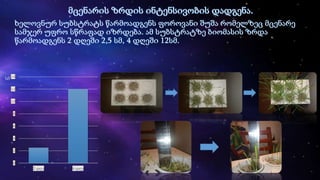 0
2
4
6
8
10
12
14
2 დღე 4 დღე
სმ
 