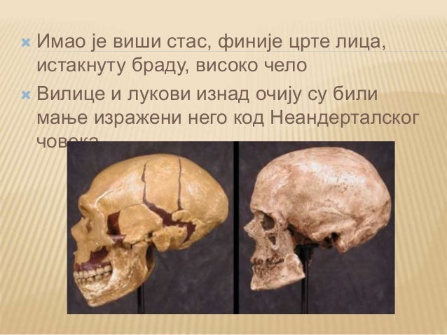 преци данашњег човека