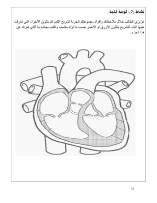 17
‫ﻧﺸﺎﻁ‬)2:(‫ﻓﻨﻴﺔ‬ ‫ﻟﻮﺣﺔ‬
‫ﻋ‬‫ﺗﻌرﻓت‬ ‫اﻟﺗﻲ‬ ‫اﻻﺟزاء‬ ‫ﺑﺗﻠوﯾن‬ ‫ﻗم‬ ‫اﻟﻘﻠب‬ ‫ﺗﺷرﯾﺢ‬ ‫ﻟﺗﺟرﺑﺔ‬ ‫ﻣﺟﻣوﻋﺗك‬ ‫واﻓراد‬ ‫ﻣﻼﺣظﺗك‬ ‫ﺧﻼل‬ ‫اﻟطﺎﻟب‬ ‫زﯾزي‬
‫ﻋن‬ ‫ﺗﻌرﻓﮫ‬ ‫اﻟذي‬ ‫ﻣﺎ‬ ‫ﺑﺟﺎﻧﺑﮫ‬ ‫واﻛﺗب‬ ‫ﻣﻧﺎﺳب‬ ‫ﺗراه‬ ‫ﻣﺎ‬ ‫ﺣﺳب‬ ‫اﻻﺣﻣر‬ ‫او‬ ‫اﻻزرق‬ ‫ﺑﺎﻟﻠون‬ ‫اﻟﺗﺷرﯾﺢ‬ ‫اﺛﻧﺎء‬ ‫ﻋﻠﯾﮭﺎ‬
‫اﻟﺟزء‬ ‫ھذا‬.
 