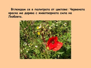 Палитра на цветните лъчи на светлината | PPT
