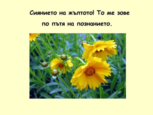 Палитра на цветните лъчи на светлината | PPT