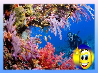 ყვავილოვანი მცენარეები