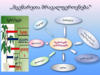 მცენარეებს
განასხვავებს
სიმაღლე
ყვავილი
ფესვი
 