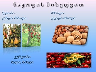 წვნიანი
ვაშლი. მსხალი
მშრალი-
კაკალი თხილი
კურკიანი
ბალი, შინდი
 