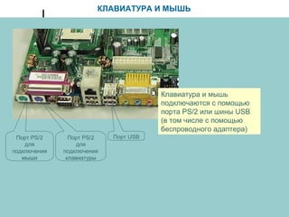 КЛАВИАТУРА И МЫШЬ
Клавиатура и мышь
подключаются с помощью
порта PS/2 или шины USB
(в том числе с помощью
беспроводного адаптера)
Порт USBПорт PS/2
для
подключения
мыши
Порт PS/2
для
подключения
клавиатуры
 