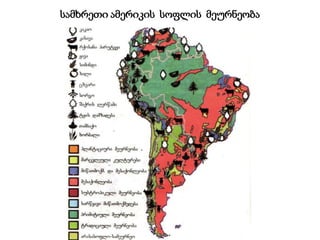 სამხრეთი ამერიკის სოფლის მეურნეობა
 