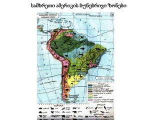 სამხრეთი ამერიკის ბუნებრივი ზონები
 